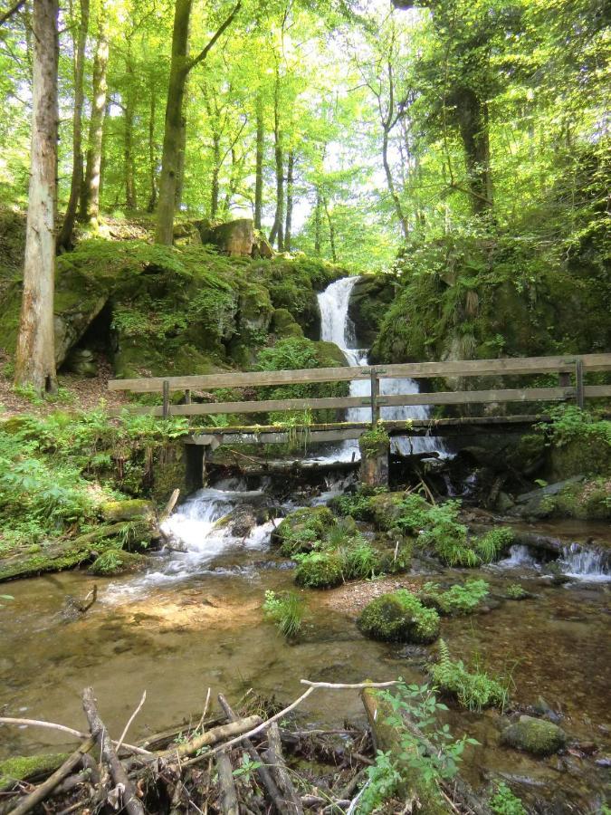 Waldgasthof Altersbach Вальдкирх Экстерьер фото
